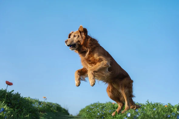 AF_35mm_F1.8_II_EVO_FE_-img30